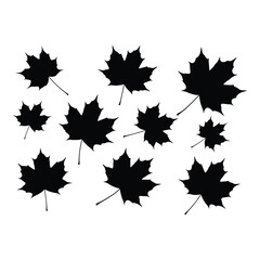 A collection of black silhouette maple leaves scattered across a white background