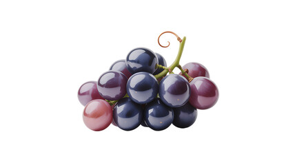 Bunch of grapes ripe purple