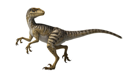 Dinosaur Age Giants Roamed Earth