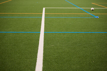 Artificial Football Field with White Marking Lines © Roman