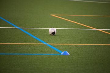 Artificial Football Field with White Marking Lines © Roman