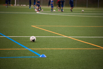Artificial Football Field with White Marking Lines © Roman