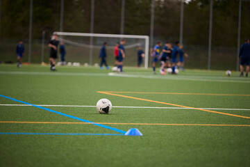 Artificial Football Field with White Marking Lines © Roman