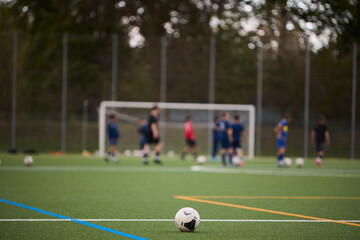 Artificial Football Field with White Marking Lines © Roman