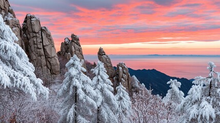 A stunning winter landscape featuring snow-covered trees in front of rugged rocks against a vibrant sky at dawn, Ideal for travel brochures, nature magazines, or desktop wallpapers,