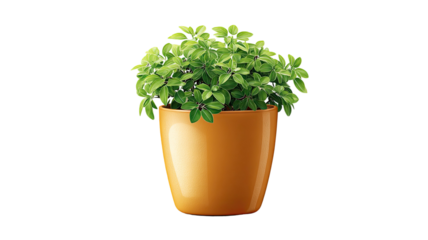 Fresh green herbs like parsley and basil grow in a potted garden, providing healthy organic ingredients and spice leaves isolated on a white background for cooking