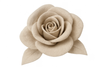 Beige fabric rose flower isolated transparent background