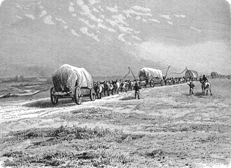 South African ox-wagon caravan crossing the veld, 1899