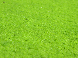 Zbliżenie na powłokę z glonów © Kumulugma