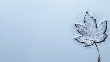 A single leaf floats on a light blue surface, creating a sense of tranquility.