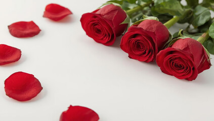 Red Roses and Scattered Petals on Clean White Background with Copy Space