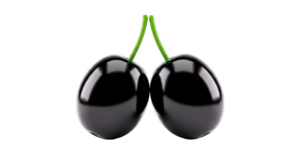 Two glossy black cherries on thin green stems against a white background