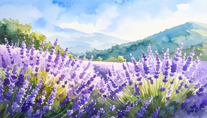 Fototapeta premium Watercolor Lavender Field Landscape with Mountains and Blue Sky.