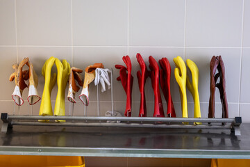 Półka z kolorowymi rękawicami ochronnymi © FotoDax
