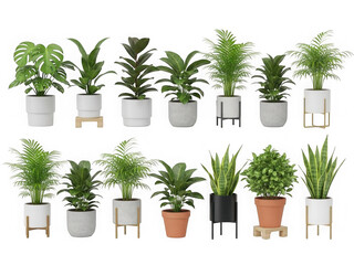 Fototapeta premium A collection of diverse indoor plants in assorted pots and stands