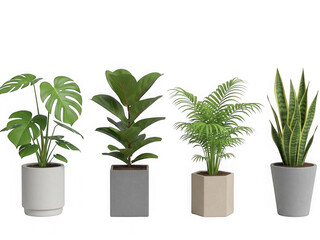 Obraz premium Four diverse houseplants in modern pots against a white background