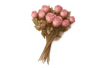 Dried pink roses bouquet bringing vintage charm and romance to floral arrangements, transparent background