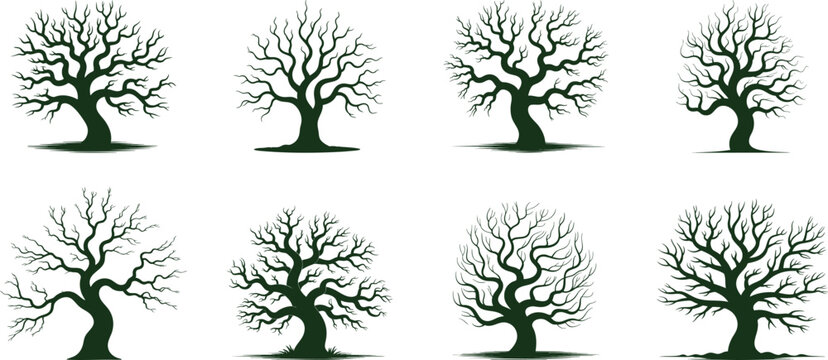 Collection of various dead tree silhouette, Tree without leaves, different shapes of Spooky trees  vector illustration.