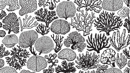 Seamless pattern of various marine corals and underwater organisms