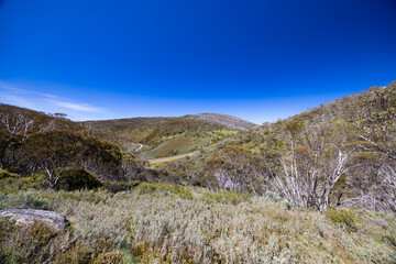 Dead Horse Gap Walking Track in Australia