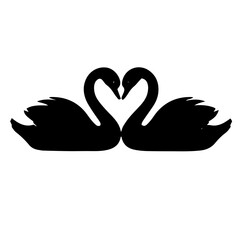 Obraz premium two black swans forming heart shape silhouette, love and grace
