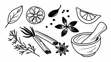 Hand Drawn Outline Illustrations of Assorted Spices and Herbs