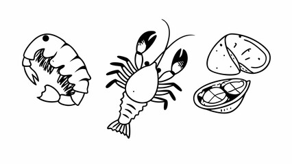 Hand Drawn Outline Illustrations of Lobster Shrimp and Oyster