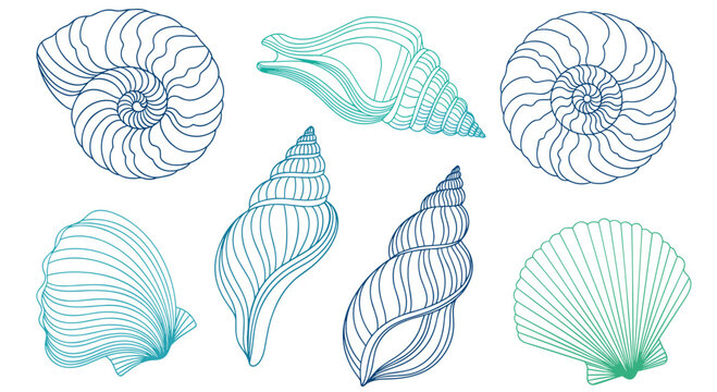 Collection of various seashells illustrated in blue and green gradients, showing intricate spiral patterns and natural marine textures.
