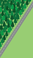 Fototapeta premium A stylized forest of green trees borders a paved road with white lines