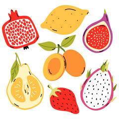 Hand drawn colorful fruits. Modern abstract minimal style. Healthy organic food. Uglifruit, lemon, figs, strawberry, ximenia, , dragonfruit, pomegranate. Vector flat illustration.