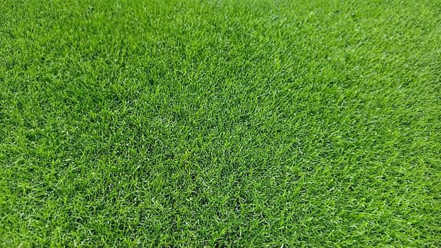 Artificial grass texture background with bright green synthetic turf and detailed pattern 