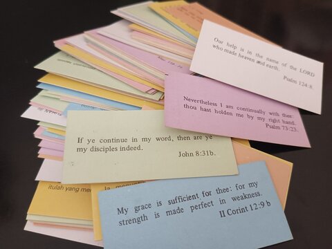daily verse card collection