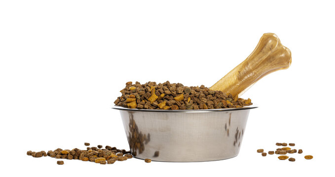 Dog bowl filling with kibble and bone on transparent background