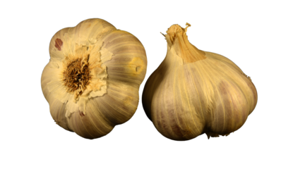 Garlic - an indispensable ingredient in the kitchen