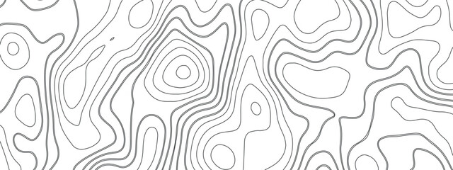 an abstract image of smooth contour lines - similar to a topographic map or the texture of a tree - painted in a soft gray color on a white background.
