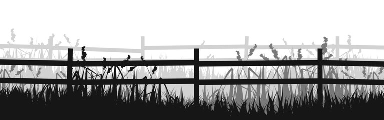 Meadow silhouette with grass, plants on plain. Panoramic summer lawn landscape with herbs, various weeds. Herbal border, frame element. Black horizontal banners. Vector illustration.