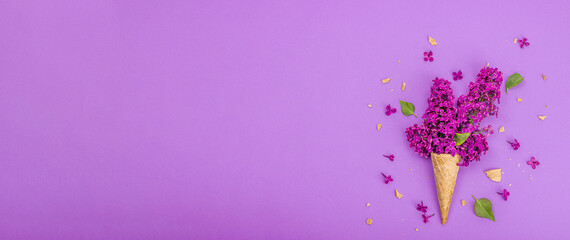 Violet lilac flowers in waffle ice cream cones on purple background. Flat lay, spring concept