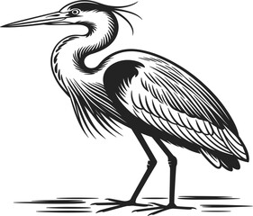 Obraz premium Heron bird vector illustration, standing water bird sketch for nature and coastal wildlife design