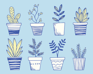 Cute Hand Drawn Potted Plants Illustration Set, Blue and Orange Doodle Houseplants