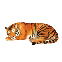 Watercolor-style tiger illustration／虎