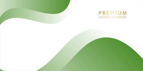 modern premium colorful wavy abstract background with gradient green soft color on background. Modern trendy design
