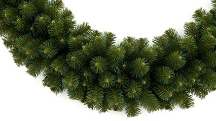 Closeup of green pine tree branches with needles