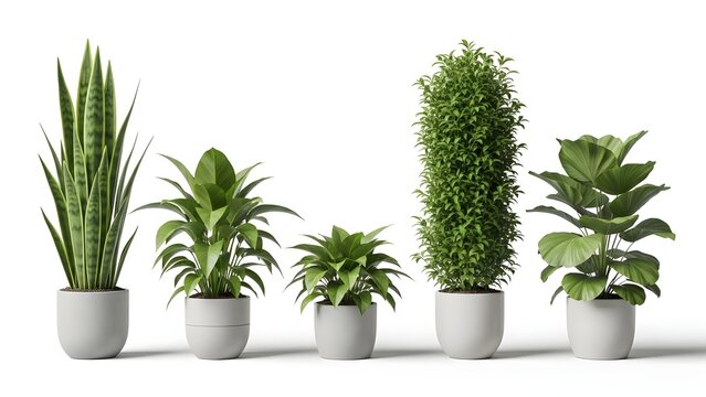 Five Green Potted Plants in White Pots on White Background - Powered by Adobe