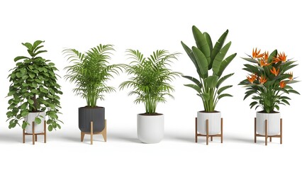 Five Potted Plants on Wooden Stands Against White Background