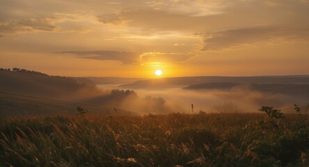 Dawn paints a hazy valley with golden light, sun rising over distant hills, field in foreground