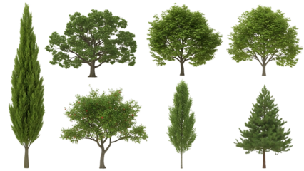 Collection of diverse trees isolated on transparent background