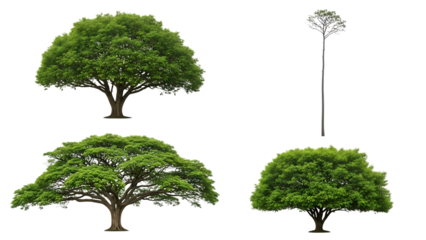 Various tree silhouettes isolated on transparent background