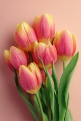 Naklejka premium Elegant Pink and Yellow Tulips on Pastel Background