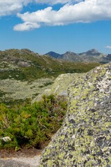 Fototapeta premium Mountain landscape. A mountain range on the background of a blue sky with clouds. There are rocks and mountain plants in the foreground.