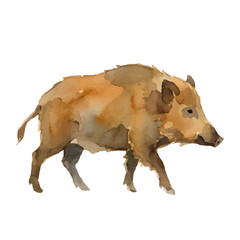 Watercolor-style wild boar illustration／猪